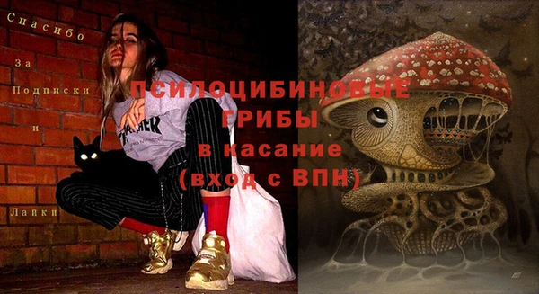герыч Алексин