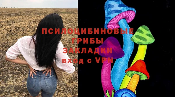 соль ск Алексеевка