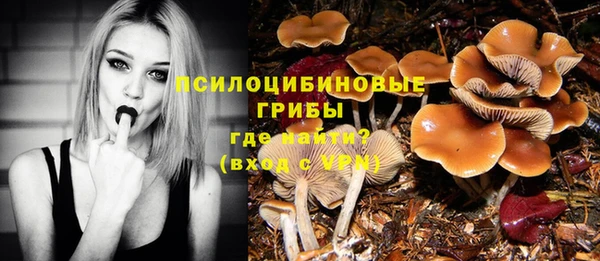 герыч Алексин