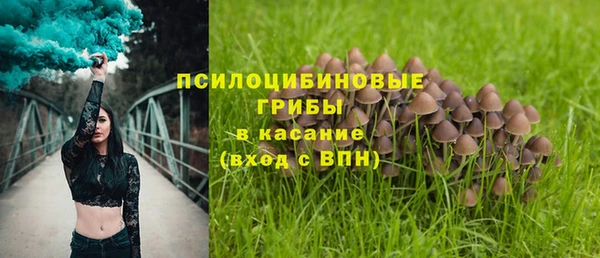 герыч Алзамай