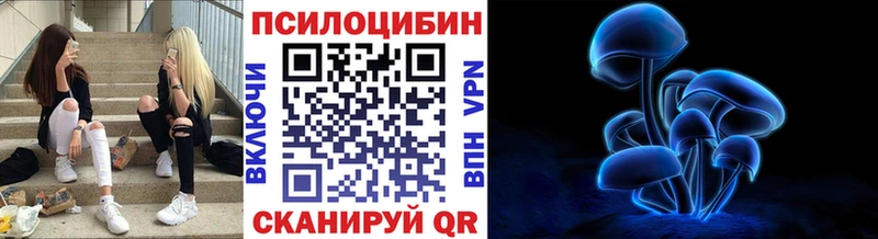 Галлюциногенные грибы Psilocybine cubensis  Кирсанов 